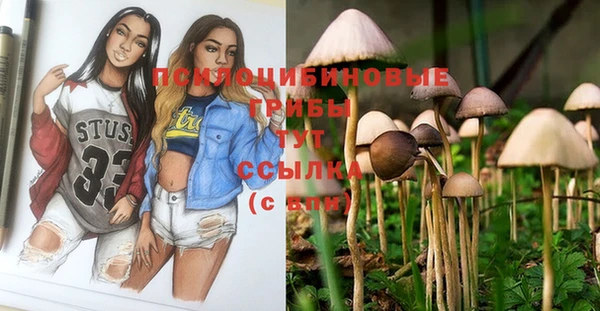 соль курить ск Арсеньев