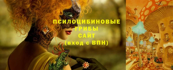 кристаллы Покачи